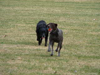 P1000183(1).JPG