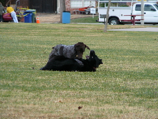 P1000188(1).JPG