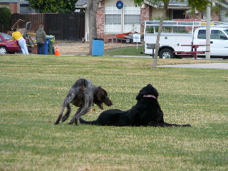 P1000197(1).JPG