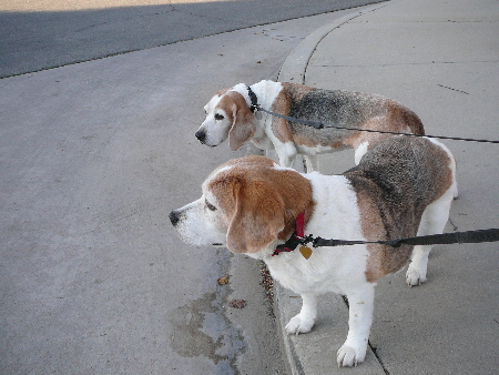 P1010018(1).JPG