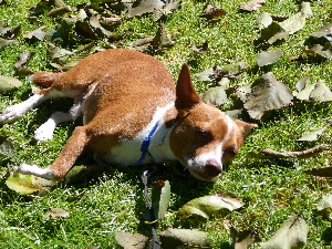 P1010828(1).JPG