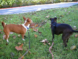 P1010945(1).JPG