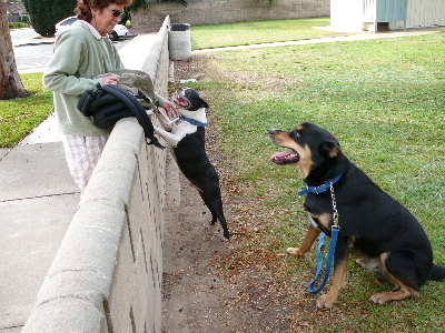 P1020307(1).JPG