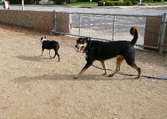 P1020324cr(1).jpg