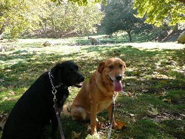 P1020558(1).JPG