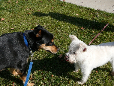 P1020932(1).JPG