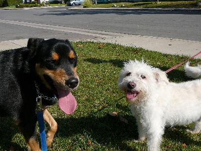 P1020936(1).JPG