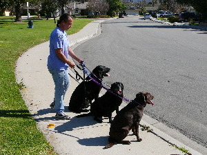 P1030228(1).JPG