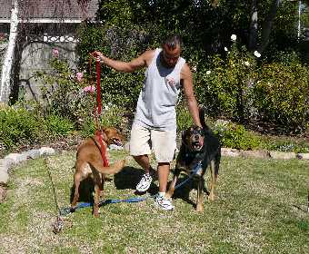P1030845cr(1).jpg