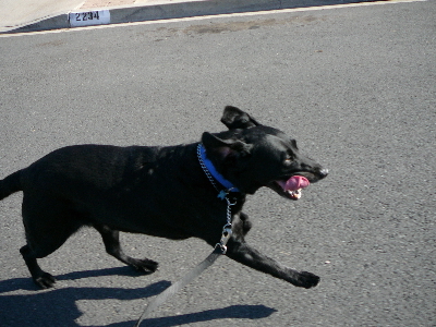 P1040222(1).JPG