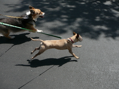 P1040358(1).JPG