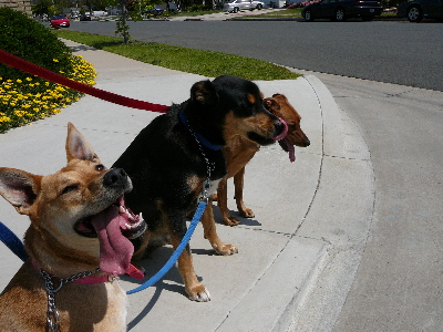 P1040749(1).JPG