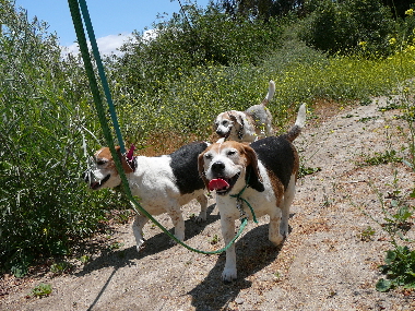 P1050565(1).JPG