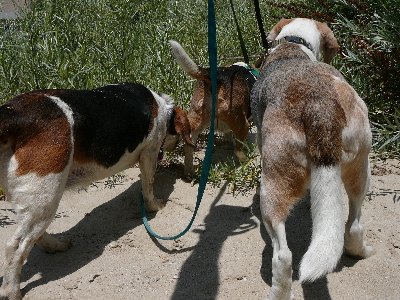 P1050596(1).JPG