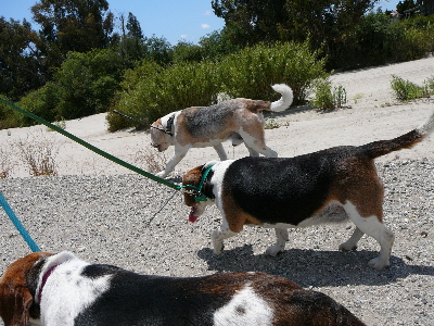 P1050613(1).JPG