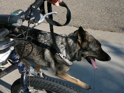 P1060153(1).JPG