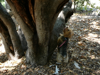 P1060715(1).JPG