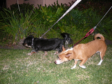 P1080701(1).JPG